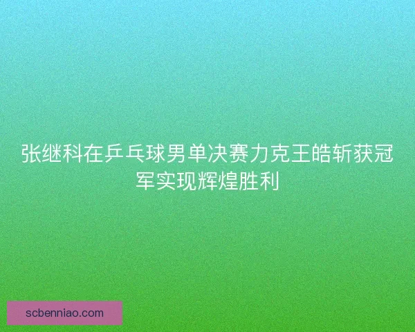 张继科在乒乓球男单决赛力克王皓斩获冠军实现辉煌胜利