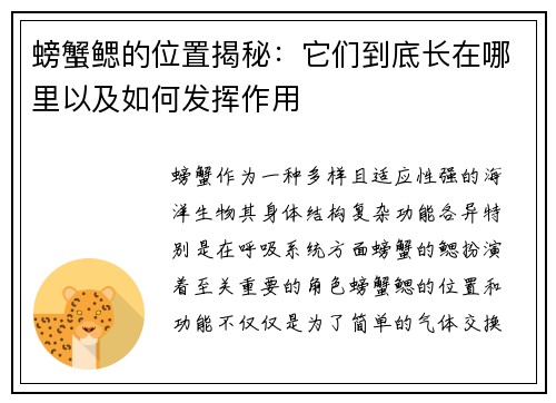 螃蟹鳃的位置揭秘：它们到底长在哪里以及如何发挥作用